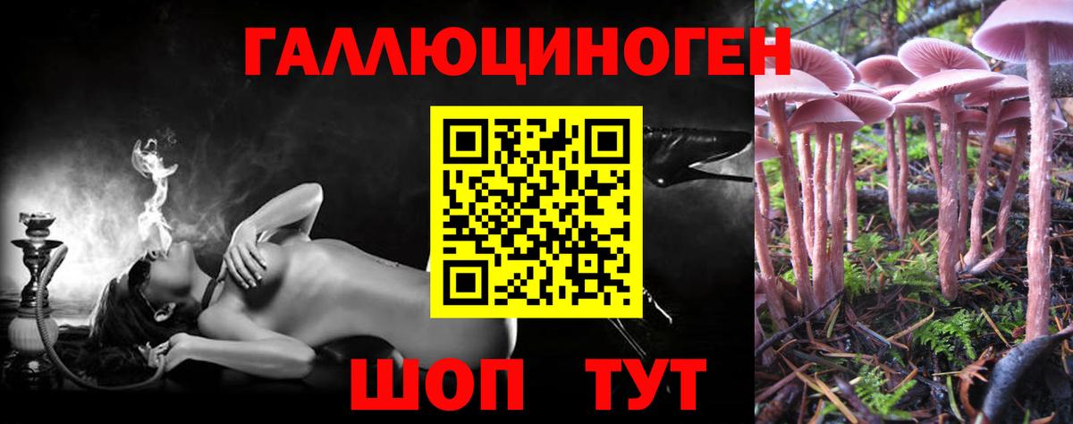 Галлюциногенные грибы MAGIC MUSHROOMS  Вход с VPN  Можга 